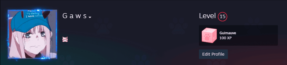 How is it to level up on Steam to SteamLevelU in 2024 cheap and easy?